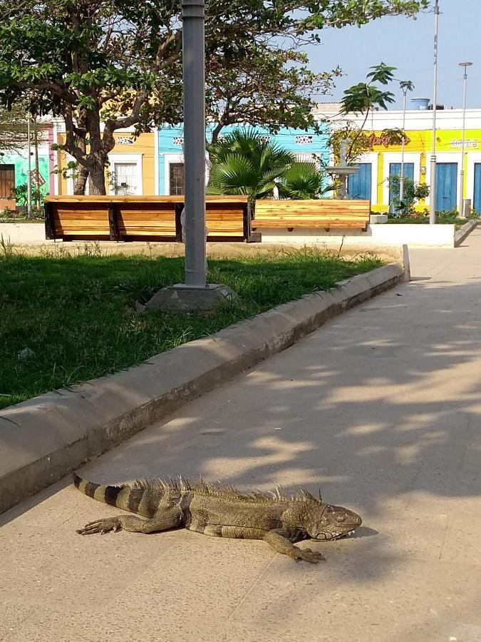 El Habitante Casa Cultural & Hostal Ciénaga Eksteriør billede