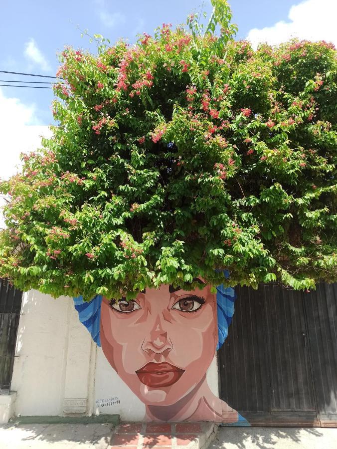 El Habitante Casa Cultural & Hostal Ciénaga Eksteriør billede